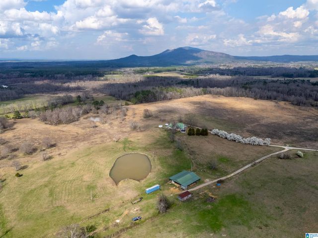 725 COUNTY ROAD 19, Piedmont, AL 36272