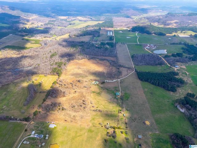 725 COUNTY ROAD 19, Piedmont, AL 36272