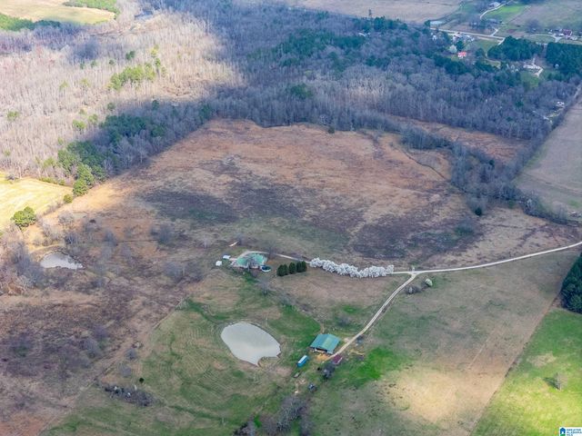 725 COUNTY ROAD 19, Piedmont, AL 36272