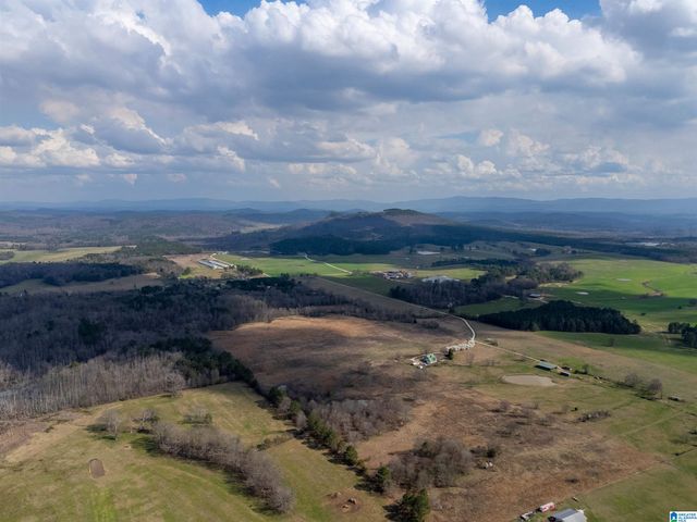 725 COUNTY ROAD 19, Piedmont, AL 36272