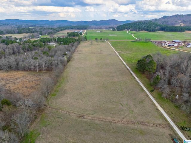 725 COUNTY ROAD 19, Piedmont, AL 36272