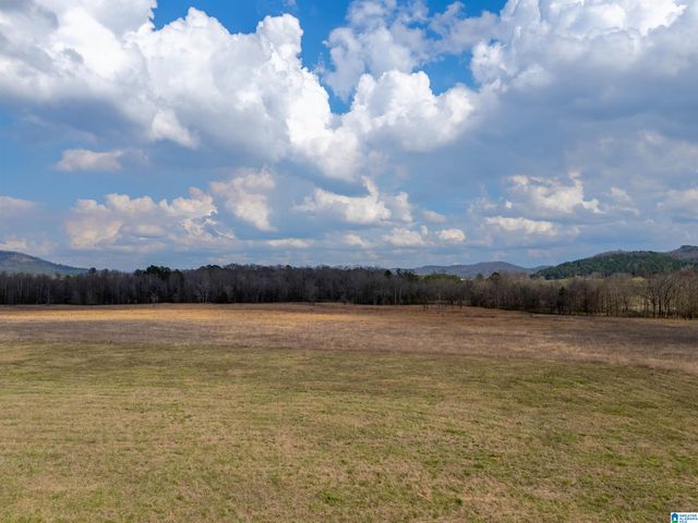 725 COUNTY ROAD 19, Piedmont, AL 36272