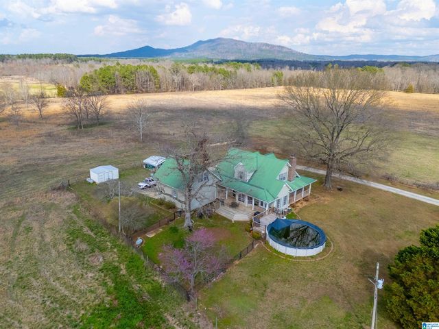 725 COUNTY ROAD 19, Piedmont, AL 36272