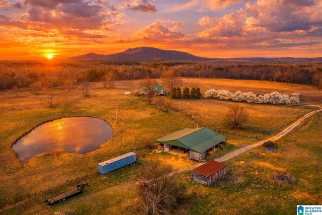 725 COUNTY ROAD 19, Piedmont, AL 36272