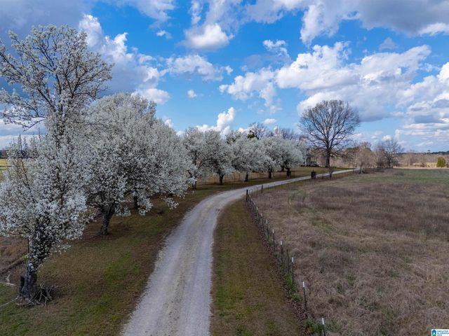725 COUNTY ROAD 19, Piedmont, AL 36272