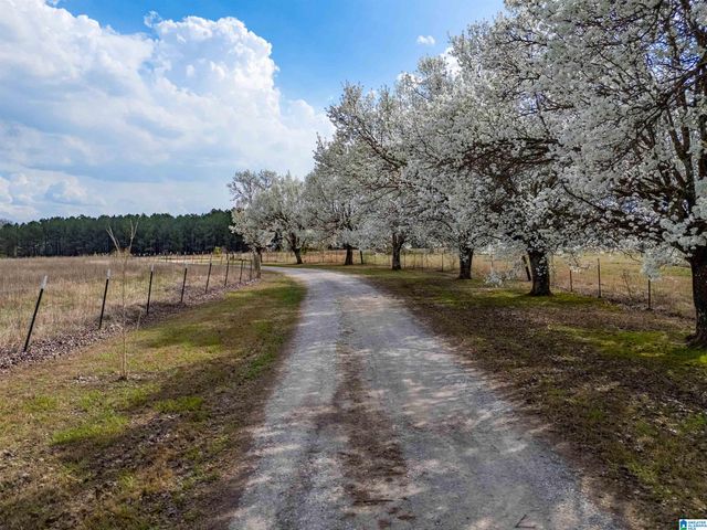 725 COUNTY ROAD 19, Piedmont, AL 36272