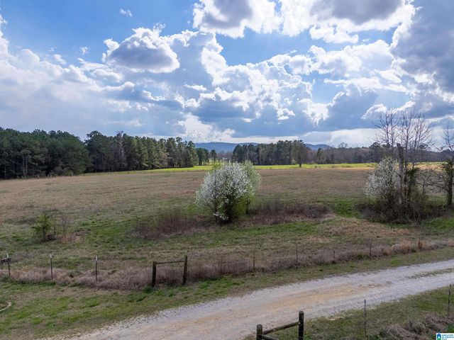 725 COUNTY ROAD 19, Piedmont, AL 36272
