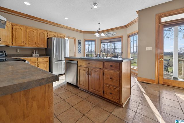 725 COUNTY ROAD 19, Piedmont, AL 36272