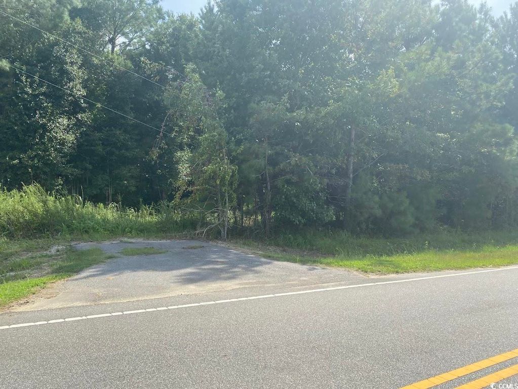 TBD Long Branch Swamp Rd., Green Sea, SC 29545