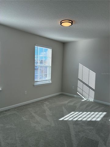 10928 OSPREY GLADE TERRACE, Land O Lakes, FL 34638