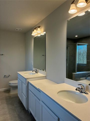 10928 OSPREY GLADE TERRACE, Land O Lakes, FL 34638