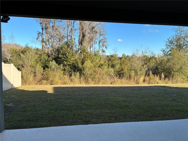 10928 OSPREY GLADE TERRACE, Land O Lakes, FL 34638