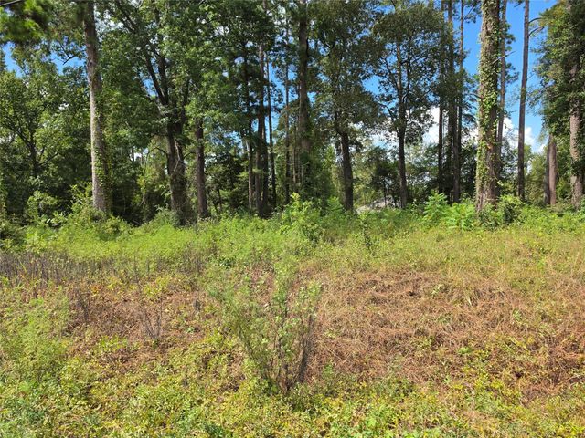 156 Lakeview Drive, Onalaska, TX 77360