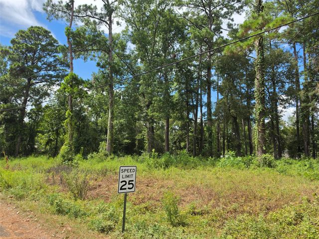 156 Lakeview Drive, Onalaska, TX 77360