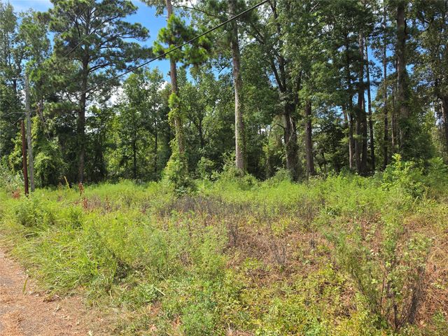 156 Lakeview Drive, Onalaska, TX 77360