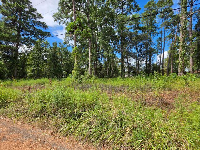 156 Lakeview Drive, Onalaska, TX 77360