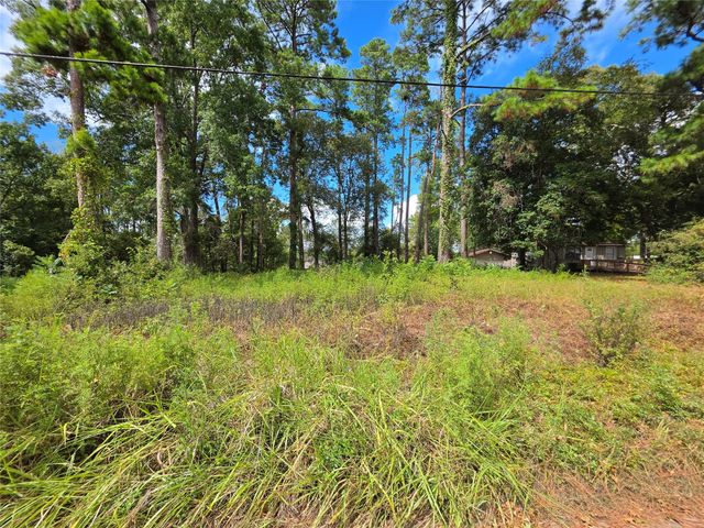 156 Lakeview Drive, Onalaska, TX 77360