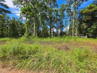 156 Lakeview Drive, Onalaska, TX 77360