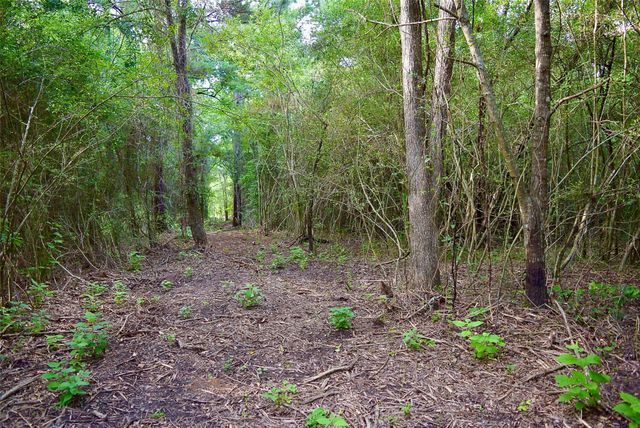 TBD Sharp Road, Montgomery, TX 77356