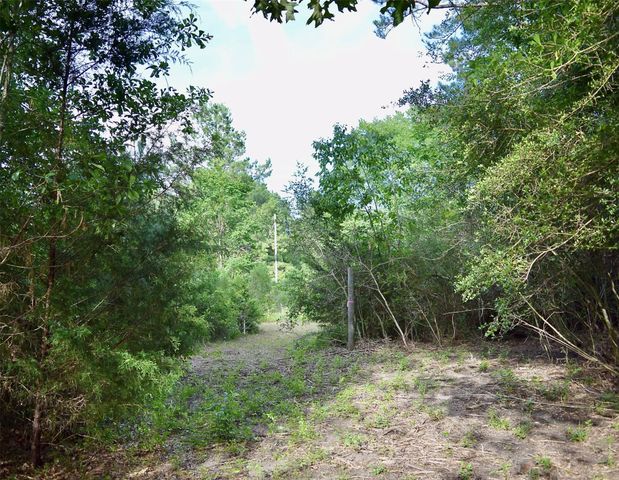 TBD Sharp Road, Montgomery, TX 77356