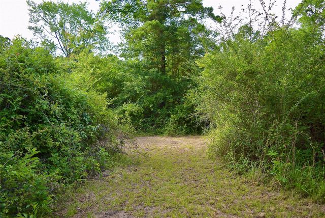 TBD Sharp Road, Montgomery, TX 77356