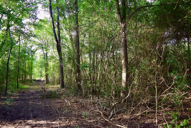 TBD Sharp Road, Montgomery, TX 77356