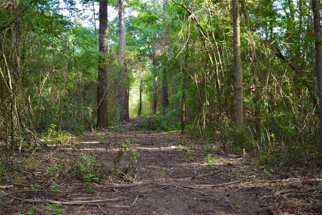 TBD Sharp Road, Montgomery, TX 77356