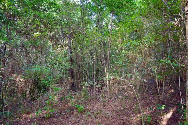 TBD Sharp Road, Montgomery, TX 77356