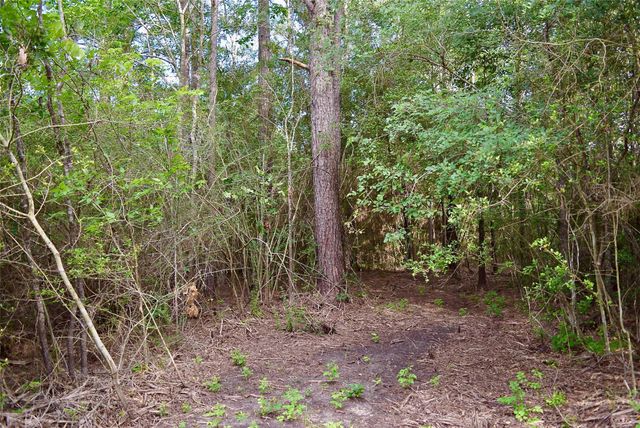 TBD Sharp Road, Montgomery, TX 77356