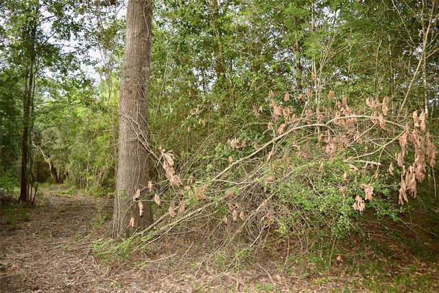 TBD Sharp Road, Montgomery, TX 77356