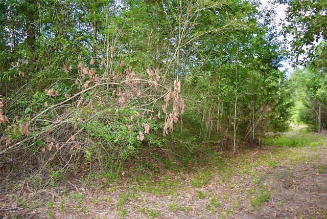 TBD Sharp Road, Montgomery, TX 77356