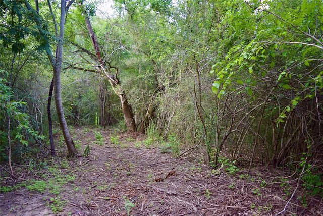 TBD Sharp Road, Montgomery, TX 77356