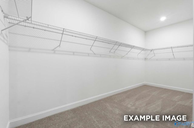 103 Labyrinth Way, Madison, AL 35756