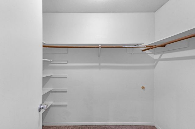 19403 Bristlestar Drive, Katy, TX 77449