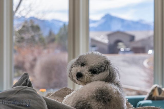 36 Kindsfather Drive, Livingston, MT 59047