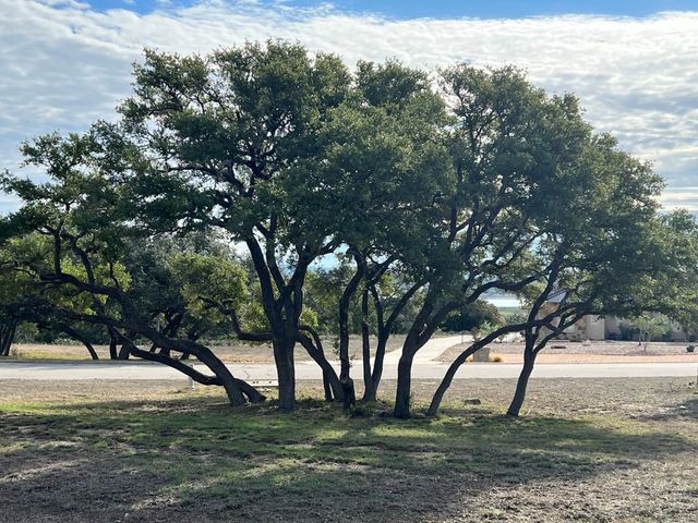 1145 Brads Flight, Canyon Lake, TX 78133