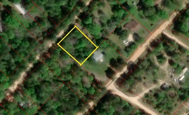 0 Glenda Drive, Livingston, TX 77351