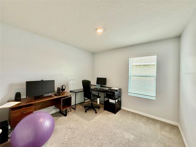 30807 PENNY SURF LOOP, Wesley Chapel, FL 33545