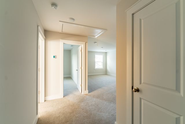 612 Conifer Dr, Spring Hill, TN 37174