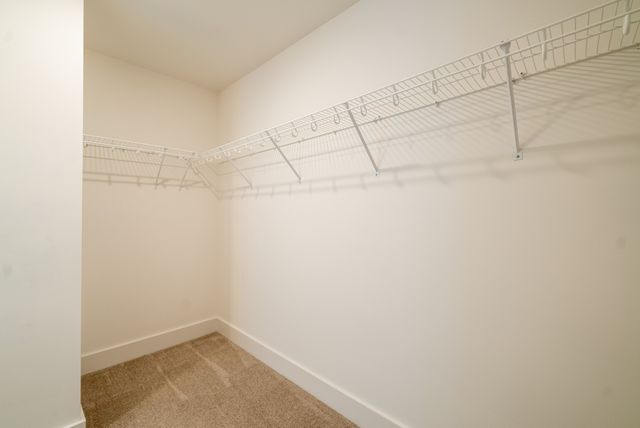 612 Conifer Dr, Spring Hill, TN 37174