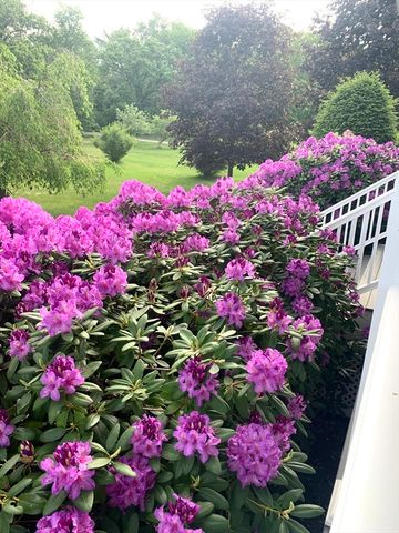 136 Chandler Road, Andover, MA 01810