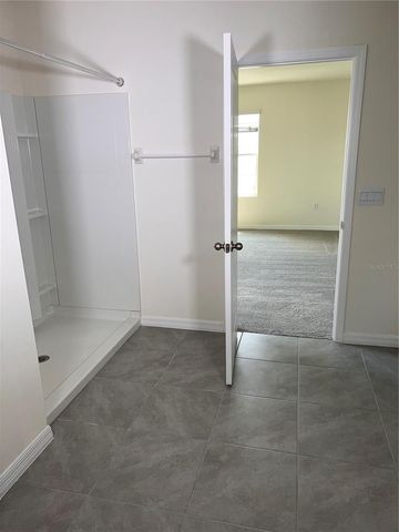 3379 SUNCOAST PLAINS DRIVE, Odessa, FL 33556