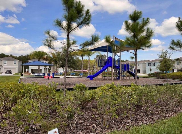 3379 SUNCOAST PLAINS DRIVE, Odessa, FL 33556