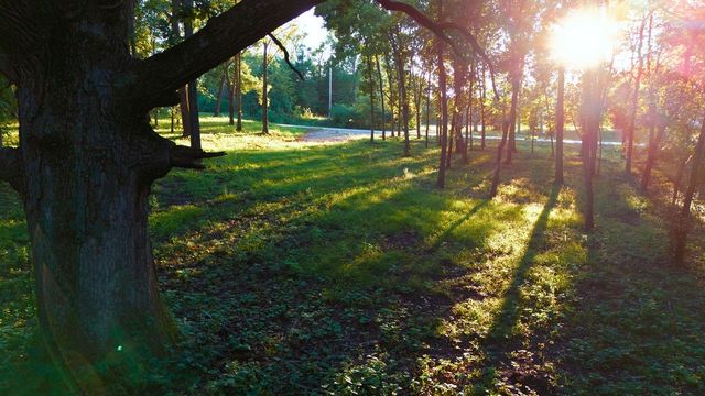 12215 NE 68th Street, Bondurant, IA 50035