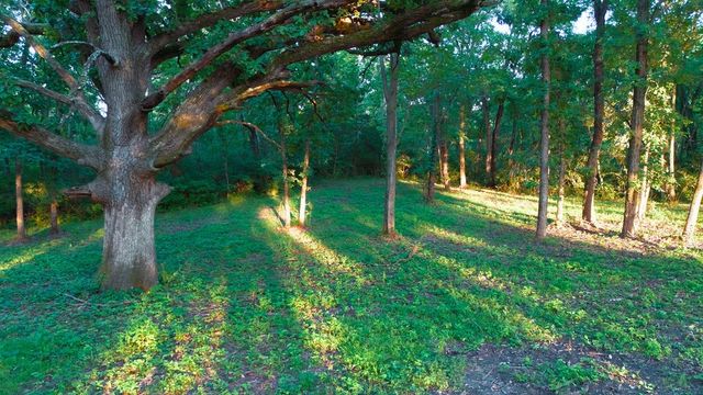 12215 NE 68th Street, Bondurant, IA 50035