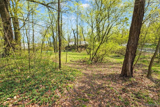 10044 Locust Drive, Tyrone Township, MI 48430