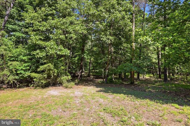 323 S TIMBER RIDGE RD, Cross Junction, VA 22625