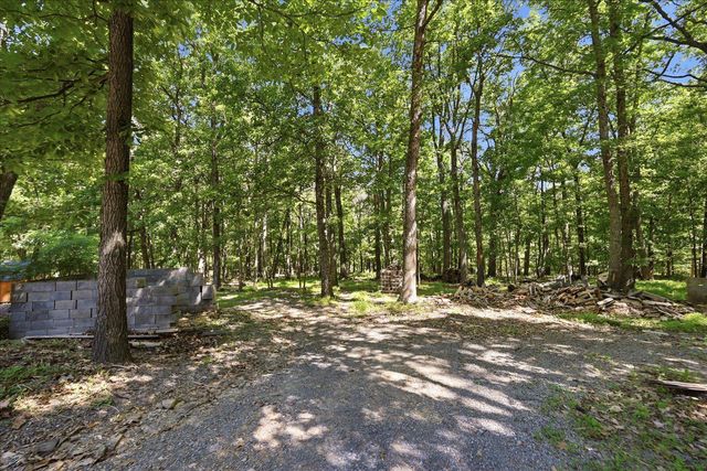 323 S TIMBER RIDGE RD, Cross Junction, VA 22625