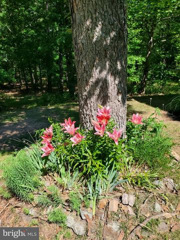 323 S TIMBER RIDGE RD, Cross Junction, VA 22625