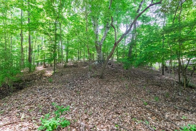 229 Ballard Court, Fort Mill, SC 29715